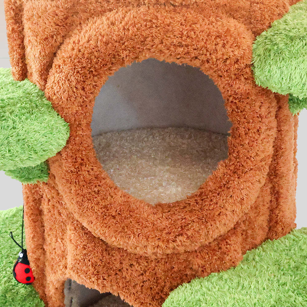 Clearance : Multi-Cat Climbing & Sleeping Haven