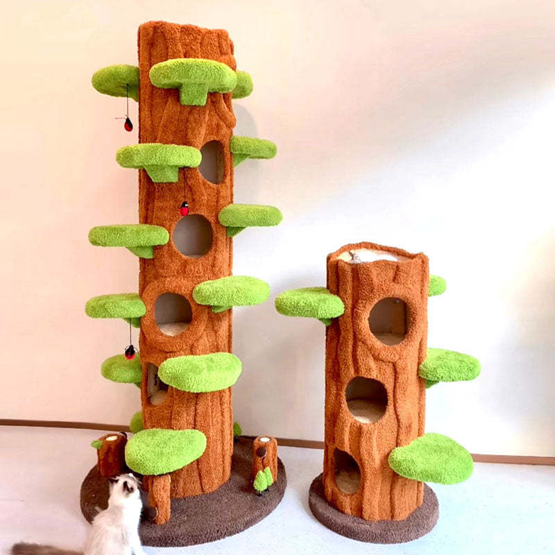 Clearance : Multi-Cat Climbing & Sleeping Haven 🐱