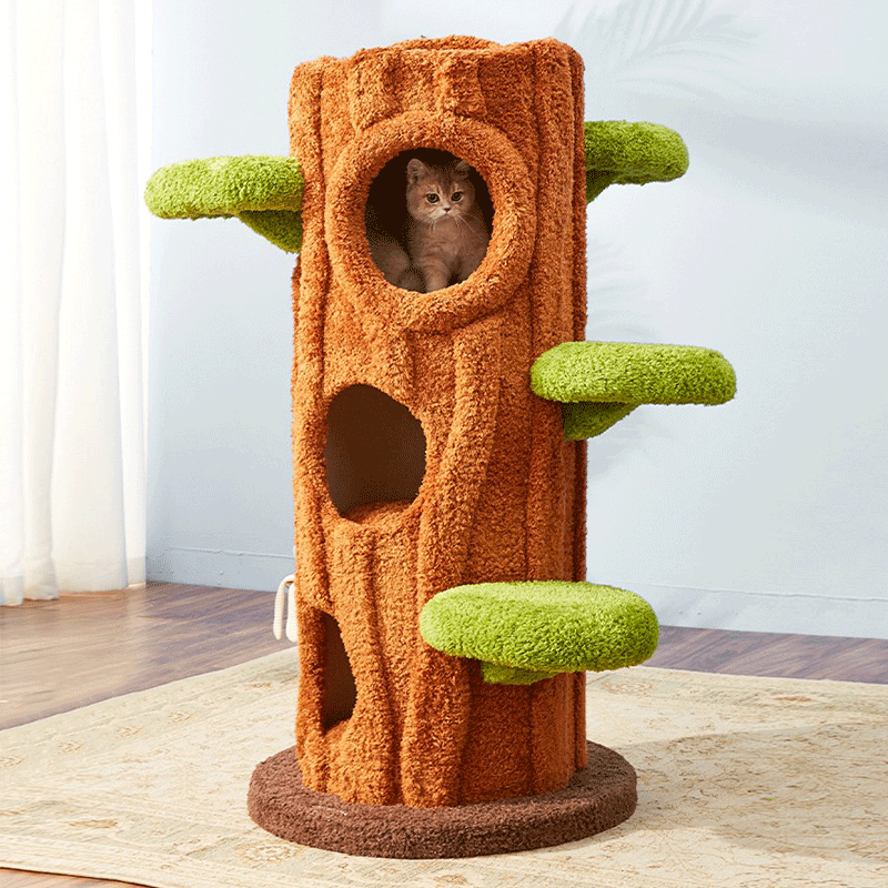 Clearance : Multi-Cat Climbing & Sleeping Haven 🐱